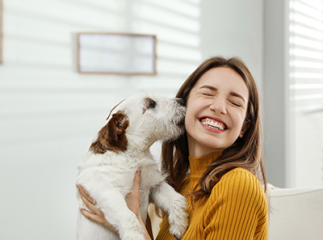 Câlin chien